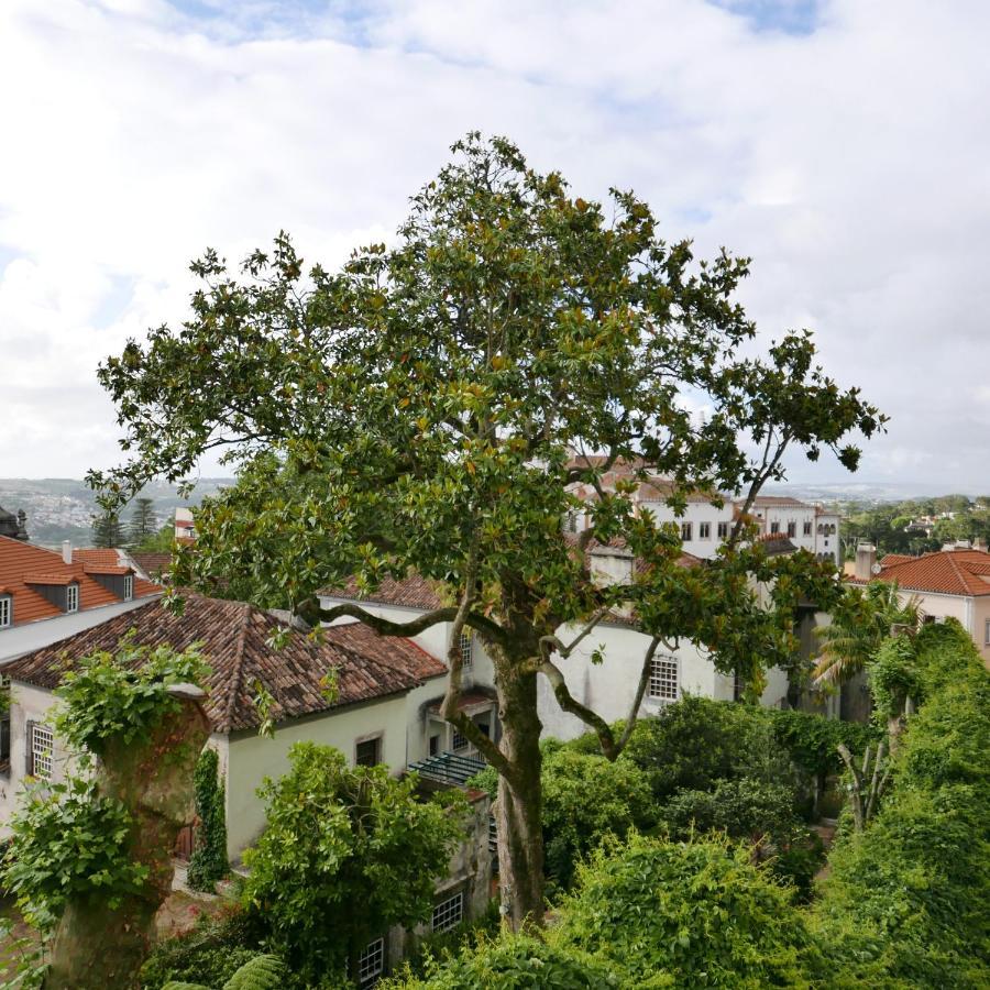 Espaco Origem Sintra Exteriér fotografie
